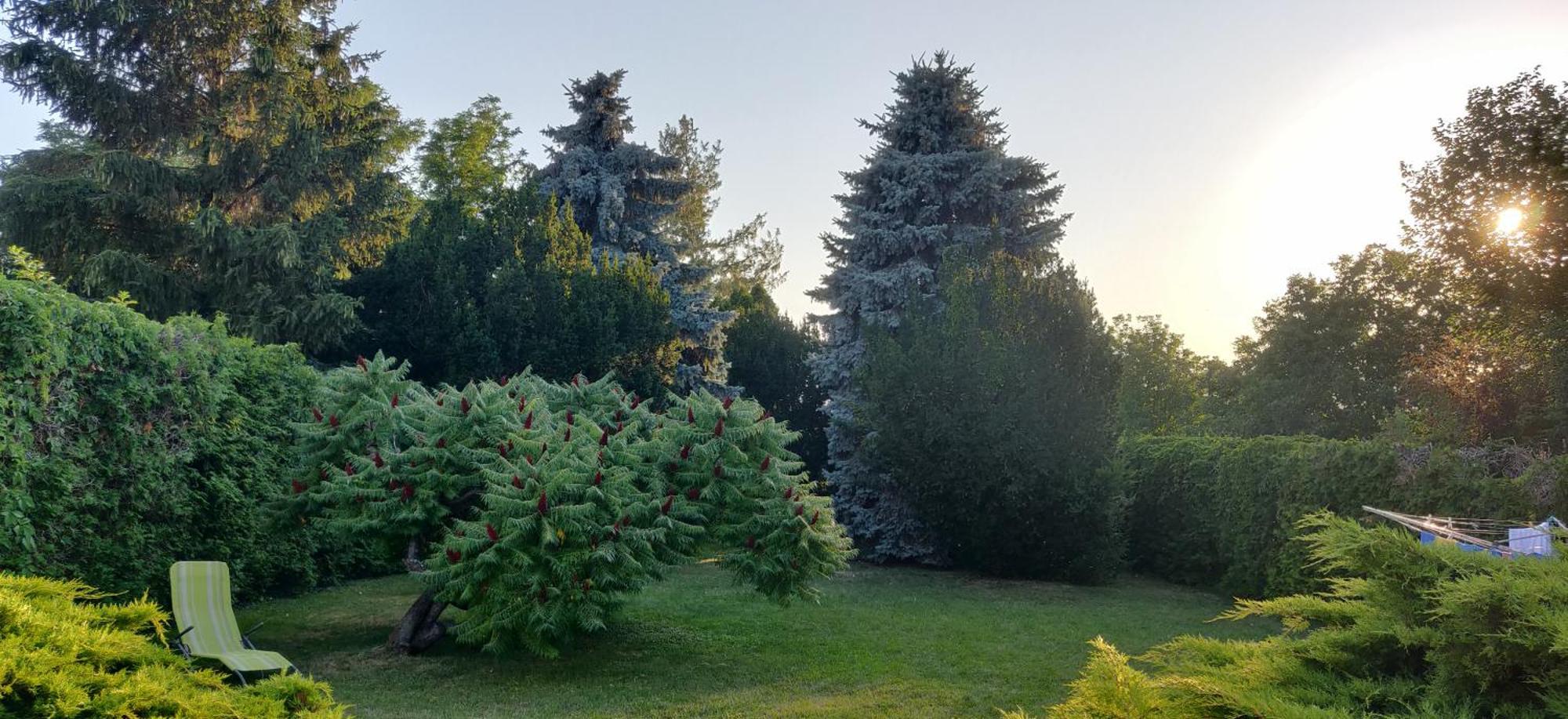 Korona Panzio Bed & Breakfast Balatonberény Exterior foto